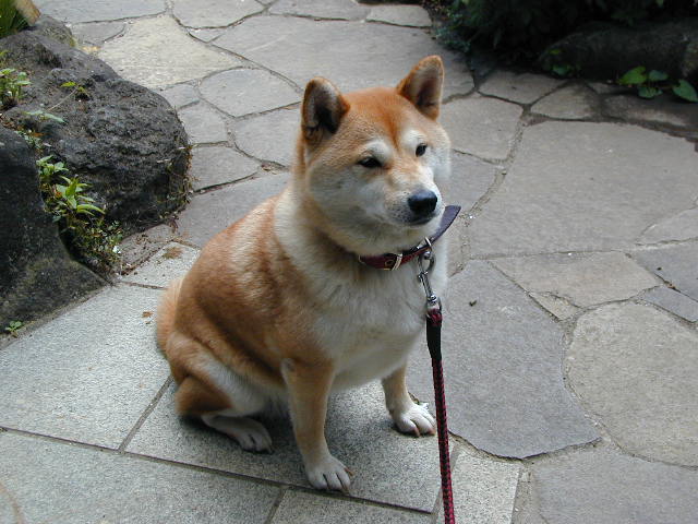 e0206702_16283276.jpg