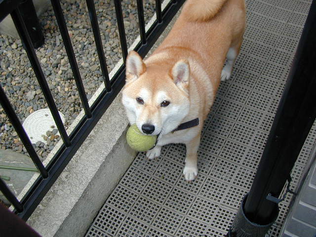 e0206702_16482442.jpg