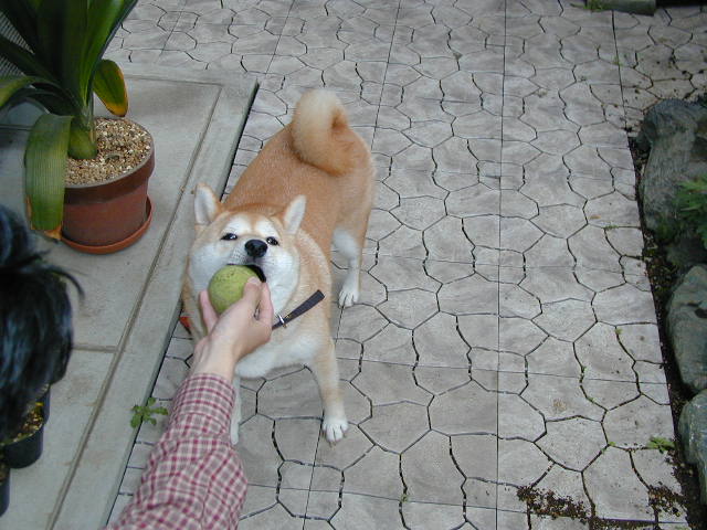 e0206702_16492275.jpg