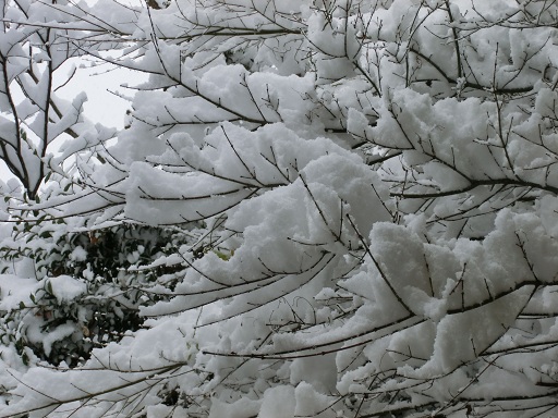 c0156104_2313640.jpg