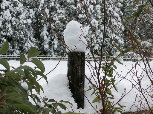 c0156104_2321723.jpg