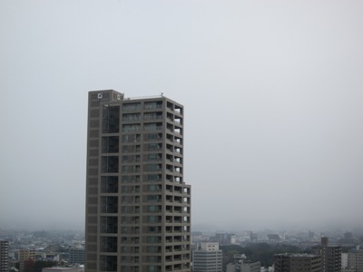 雪景色_b0122805_13384093.jpg
