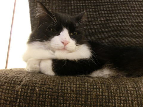 b0239909_2291040.jpg