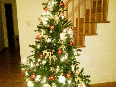 クリスマス2012_c0207810_1922940.jpg