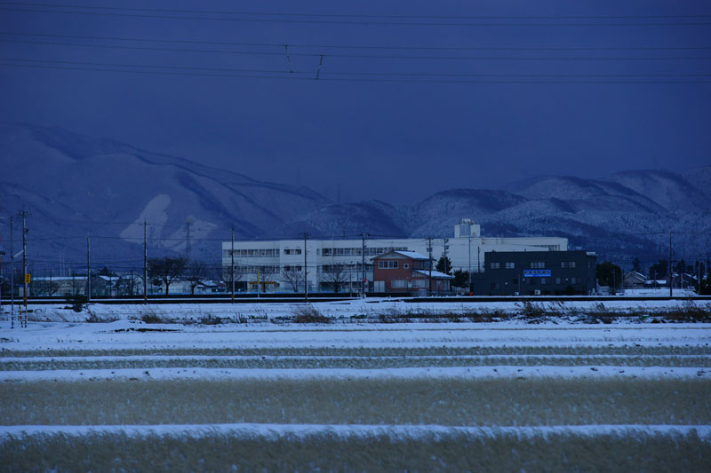 a0278914_575975.jpg
