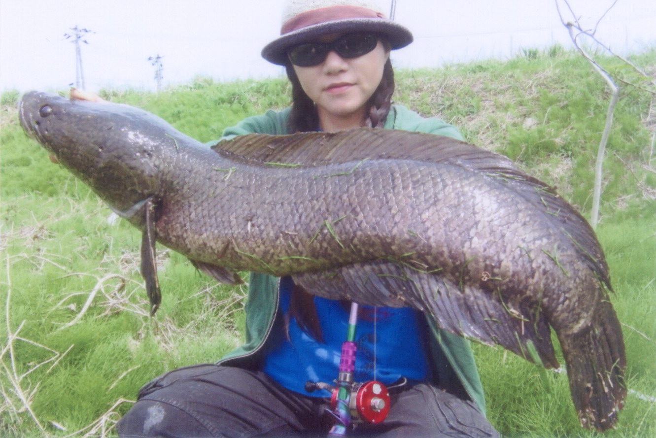 エントリーの魚から (その3) _a0153216_22435999.jpg