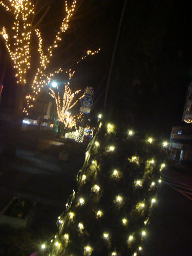 a0251717_21252315.jpg