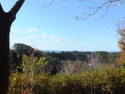 e0135518_15174521.jpg