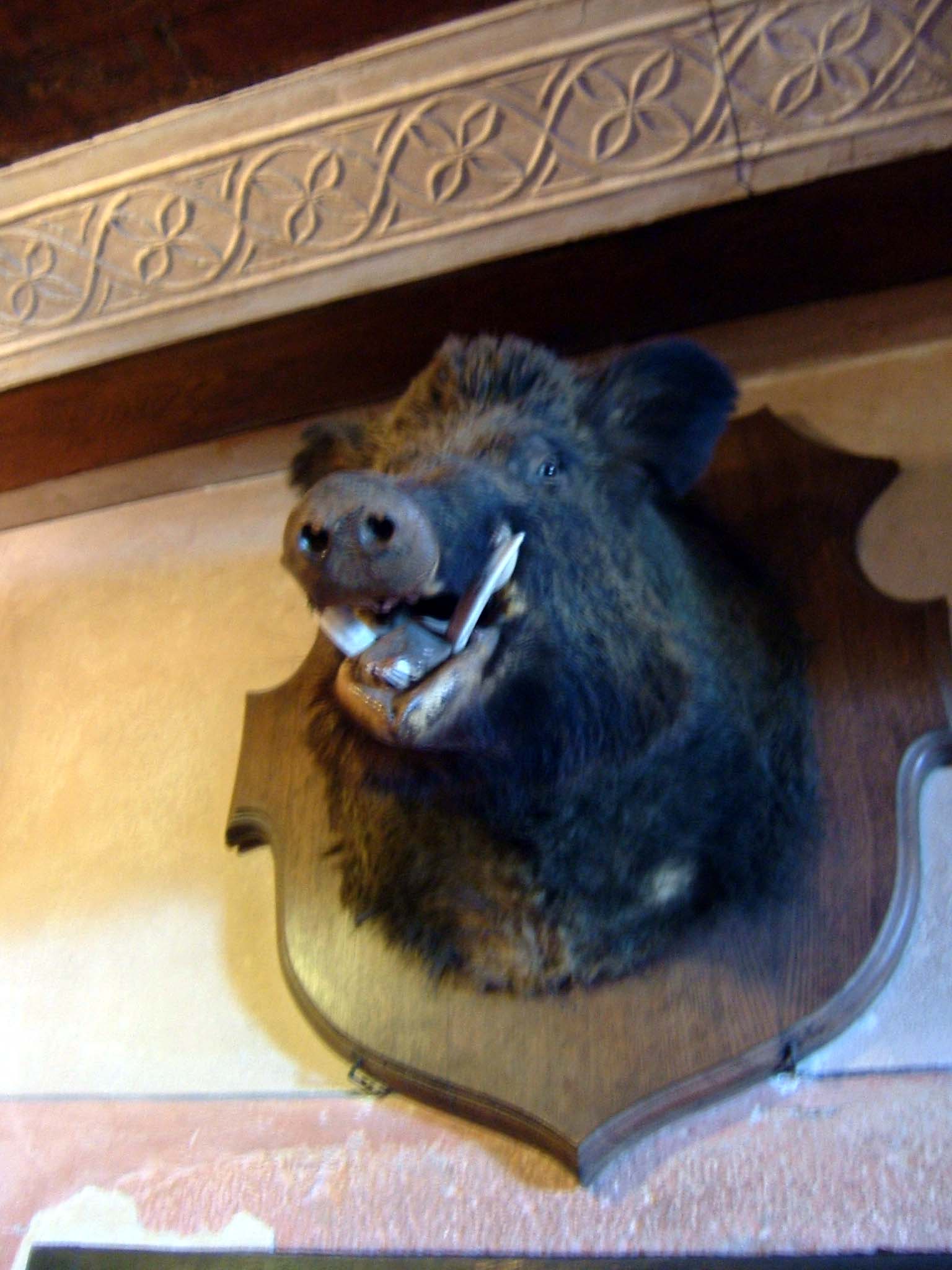 e0059520_19234887.jpg