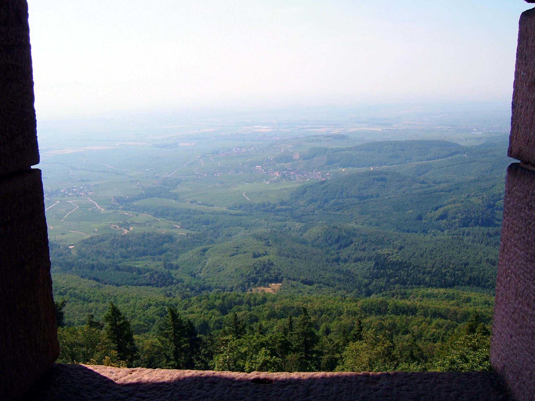 e0059520_1925857.jpg