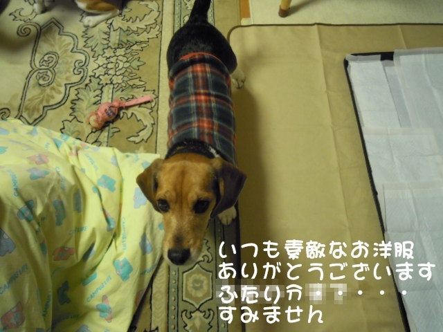 c0166622_1004881.jpg