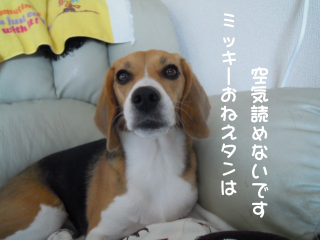 c0166622_9425041.jpg