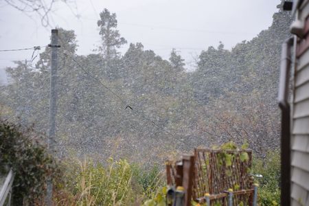 雪止まず。_e0165922_199315.jpg