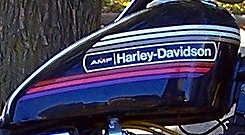 a0143723_1251223.png