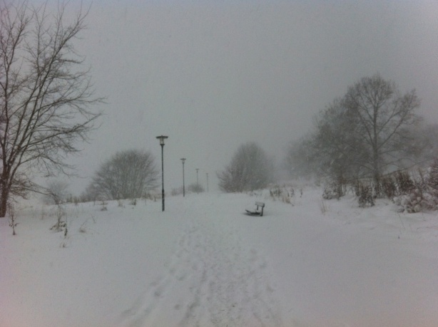 大雪のストックホルム１　－　Stockholm i djup snö 1_e0250023_1041851.jpg