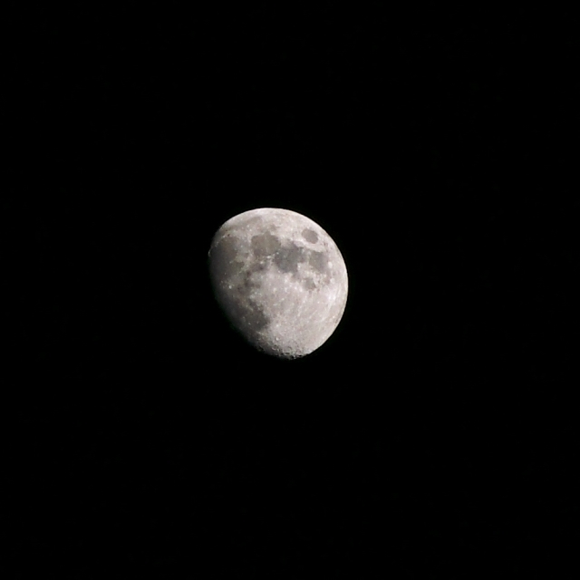 a0257124_20121027.jpg