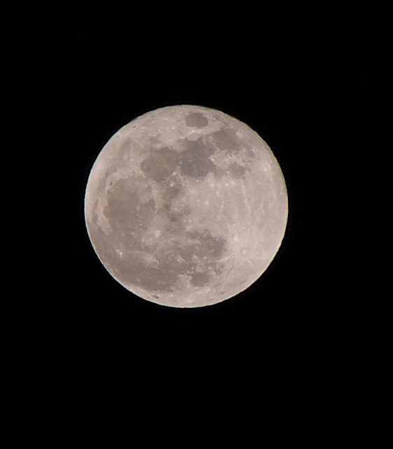 a0257124_2024451.jpg