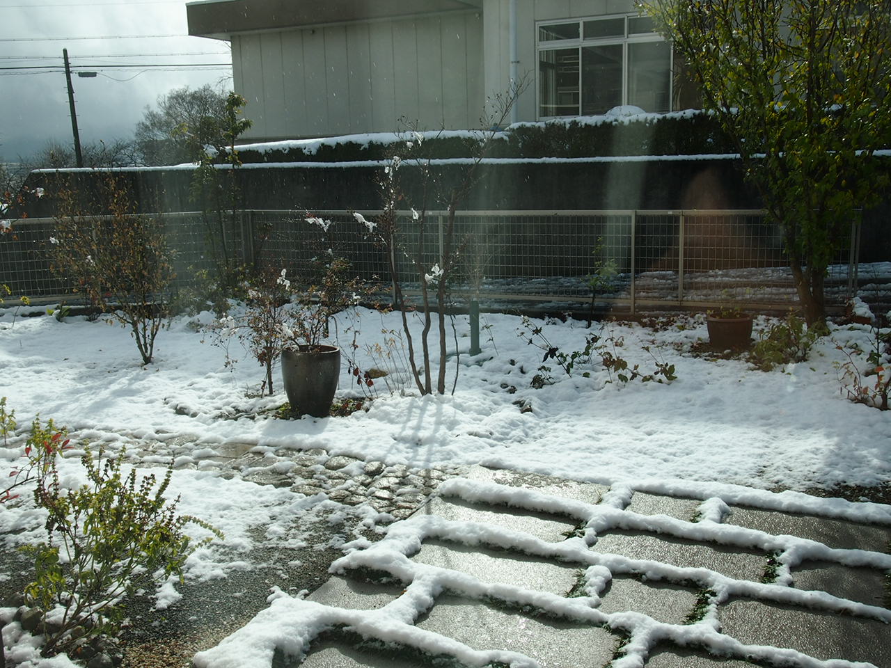 a0279024_15331250.jpg