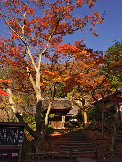 b0093625_11231695.jpg