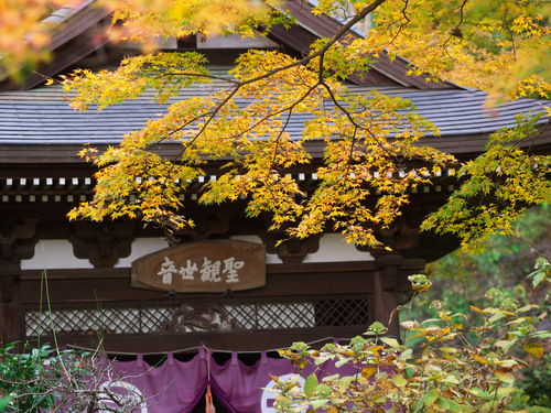 紅葉の北鎌倉（円覚寺）_b0093625_11245263.jpg