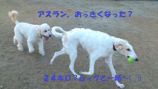 c0254426_0503464.jpg