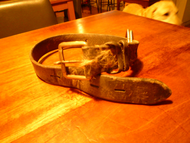 a0166629_1371044.jpg