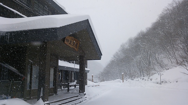 積雪６０センチ&クリスマス_c0213830_12303152.jpg