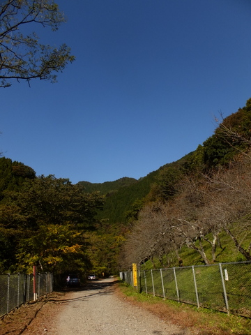 b0281732_16522166.jpg