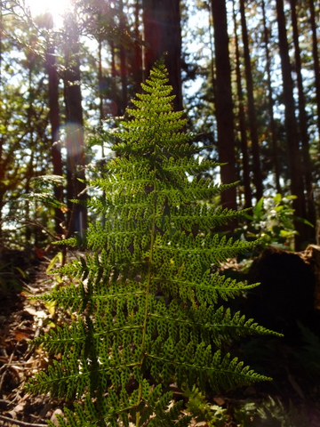 b0281732_165285.jpg