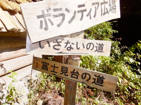 b0281732_1653991.jpg