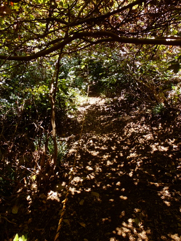 b0281732_16542063.jpg