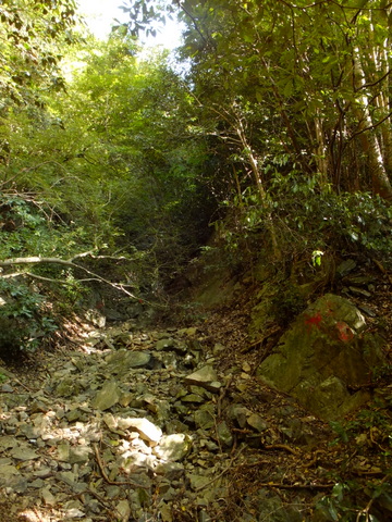 b0281732_16542757.jpg