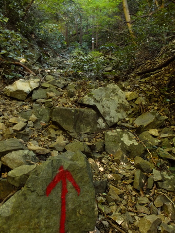 b0281732_16543578.jpg
