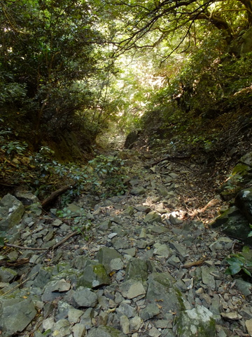 b0281732_16544445.jpg