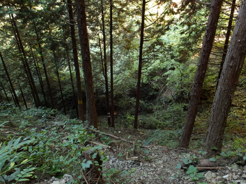 b0281732_16545469.jpg