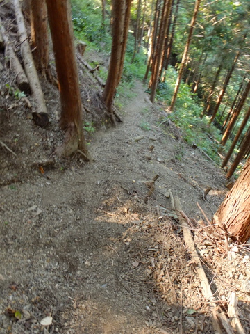 b0281732_16551092.jpg