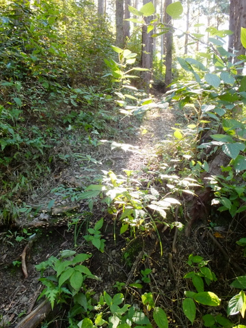 b0281732_16551547.jpg