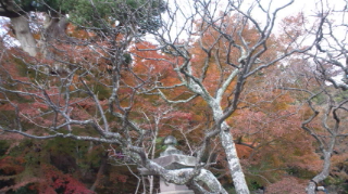 b0082834_21543121.jpg