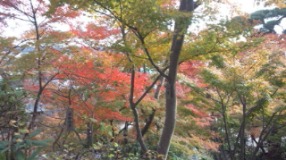 b0082834_21544469.jpg