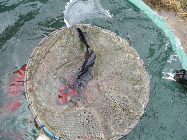 f0214235_22105280.jpg