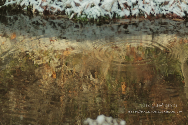 Winter scenery~待ち焦がれた朝**_b0197639_22112818.jpg