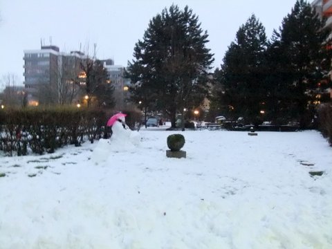 f0210340_428269.jpg