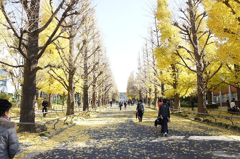慶應義塾大学キリスト教青年会館（YMCAチャペル）_c0094541_13315040.jpg