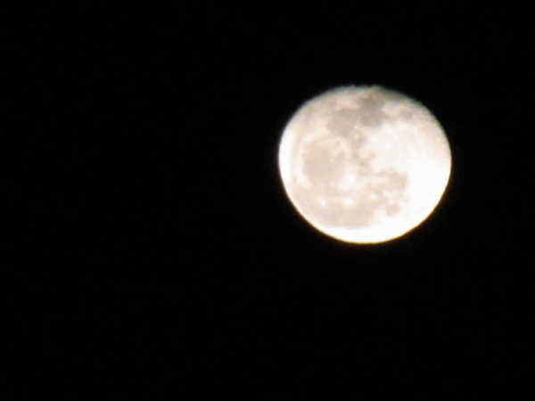 a0175545_94494.jpg