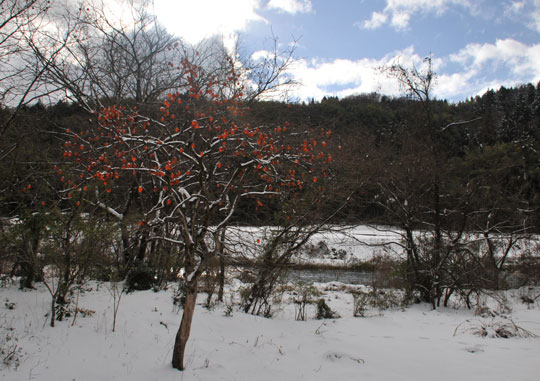 c0093046_1315658.jpg