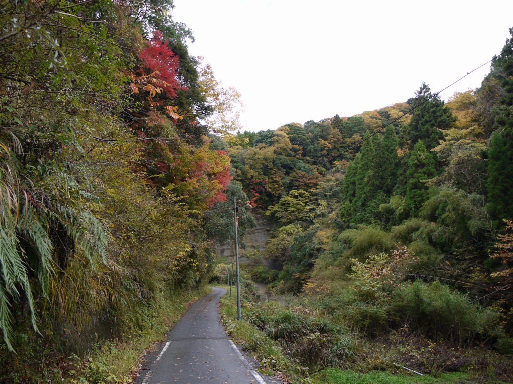 知られざる房総の山と紅葉_e0259451_23491048.jpg