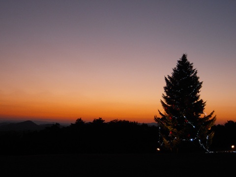 d0049152_0283560.jpg