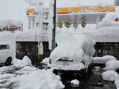 朝の大雪_a0084753_8391799.jpg