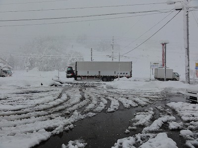 朝の大雪_a0084753_839944.jpg