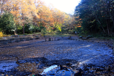 a0248459_22273635.jpg